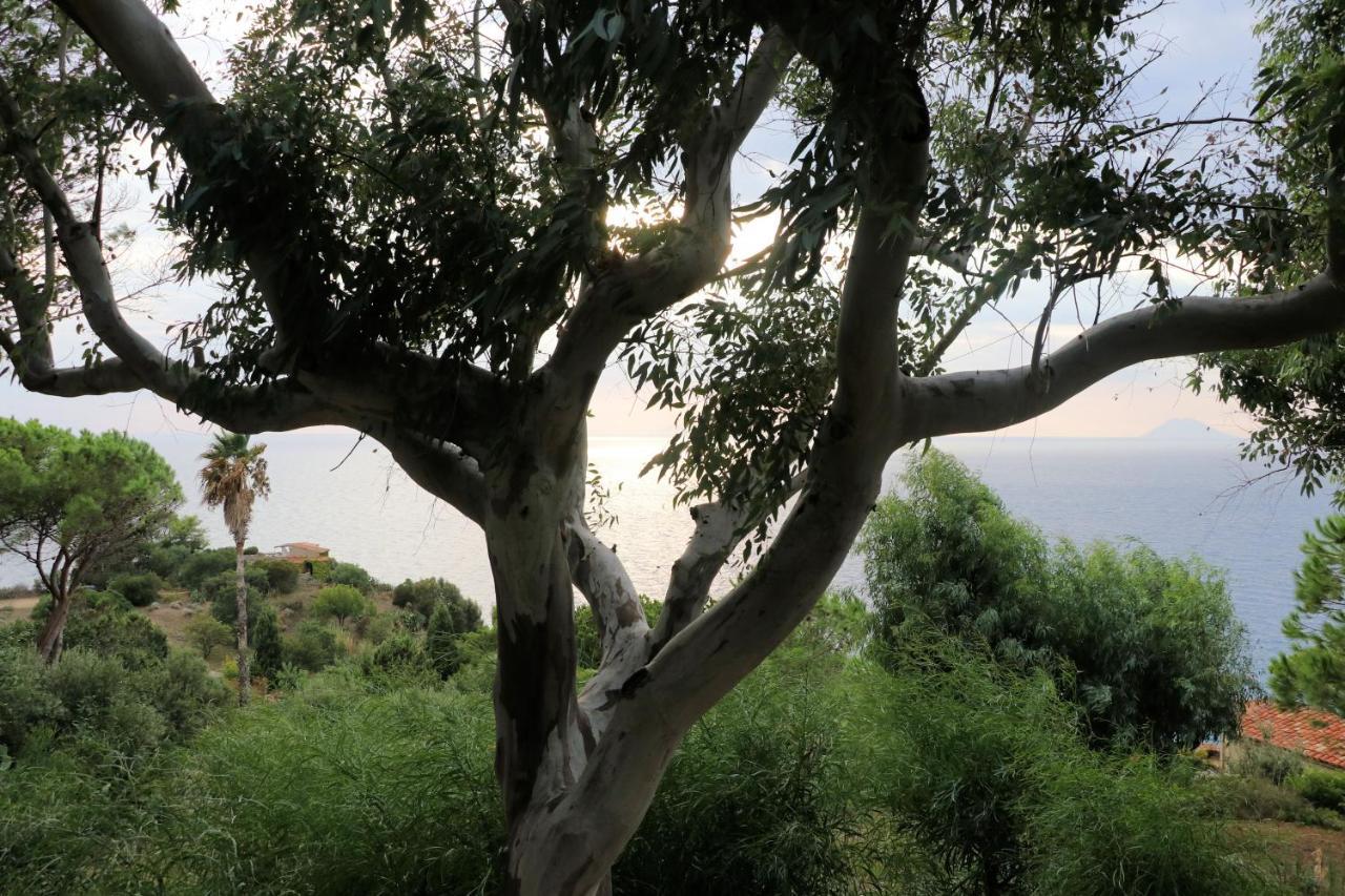 Case Di Berto Capo Vaticano Exterior foto