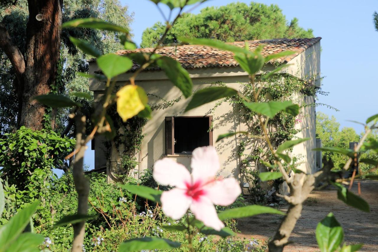 Case Di Berto Capo Vaticano Exterior foto